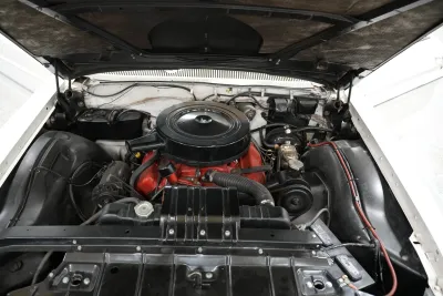 Dynamic 88